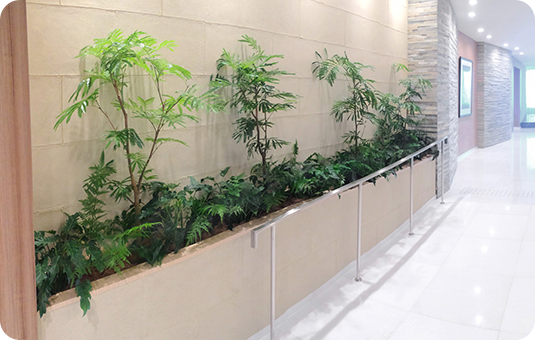 病院・福祉施設の入口に飾られている観葉植物