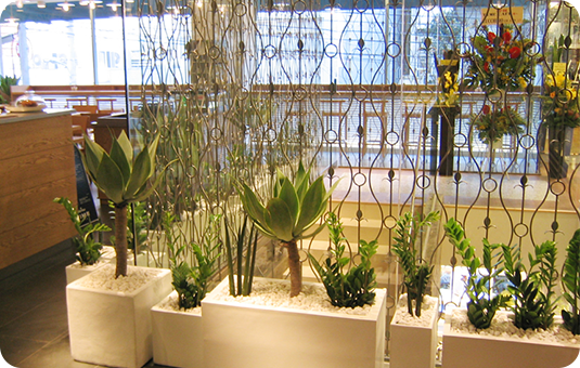 商業施設の店内に飾られる観葉植物