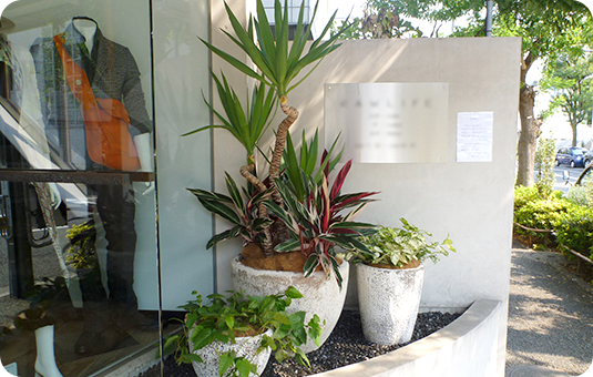 商業施設の入口に飾られる観葉植物