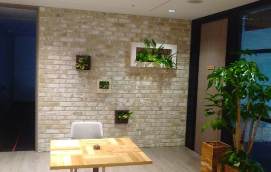 壁掛け用の観葉植物の装飾プランター
