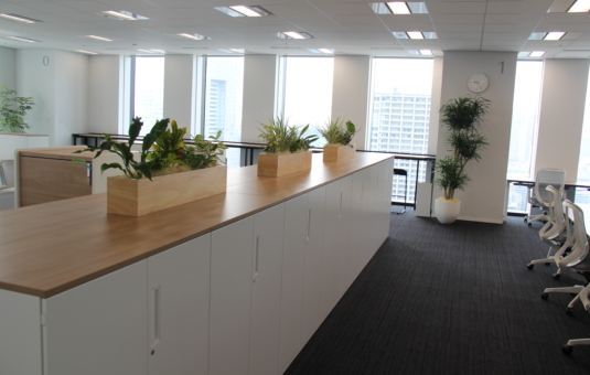 事務所オフィスのカウンターへの観葉植物の装飾プランター　